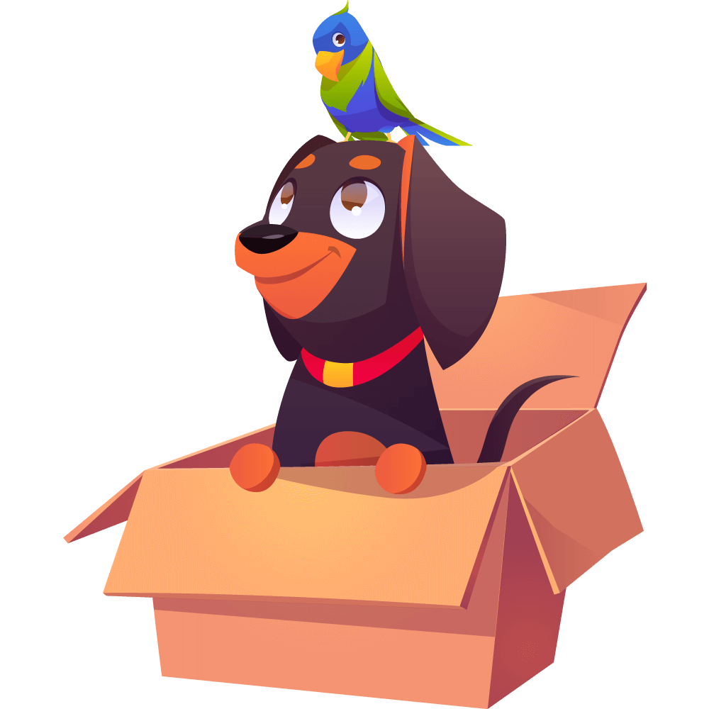 Animals collection image